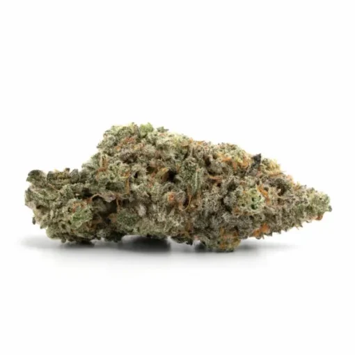 Apple-Fritter-510x510-1.webp
