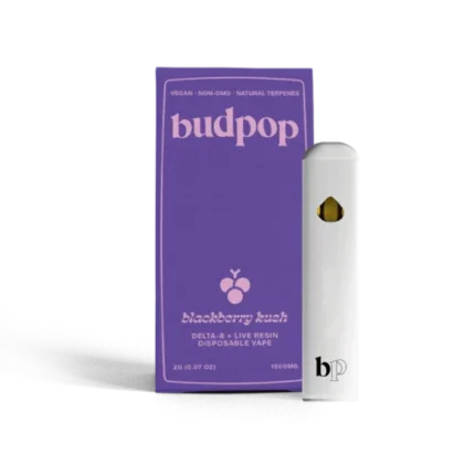 Budpop Delta 8 + Live Resin 2g Disposables (1600 mg) – Blackberry Kush