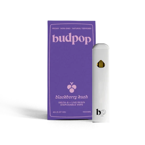 BLACK-BERRY-DSP-DELTA-8-510x510-1.webp