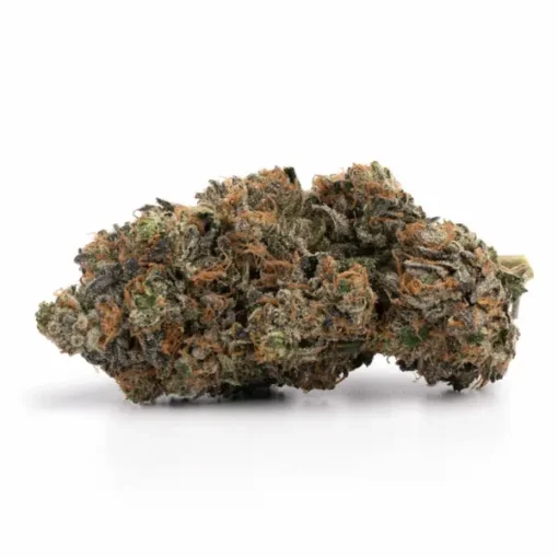 Bruce-Banner-510x510-1.webp