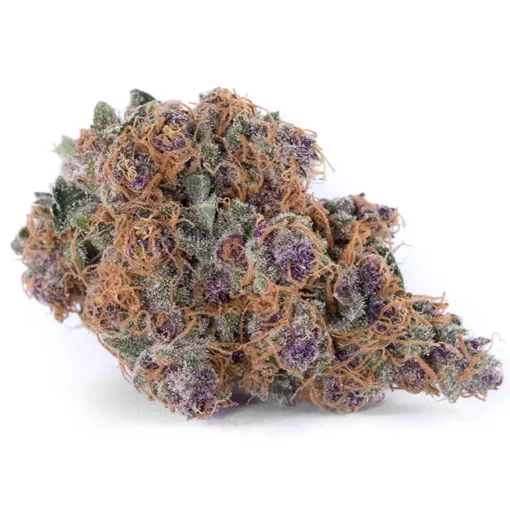 blue-dream-510x510-1.webp