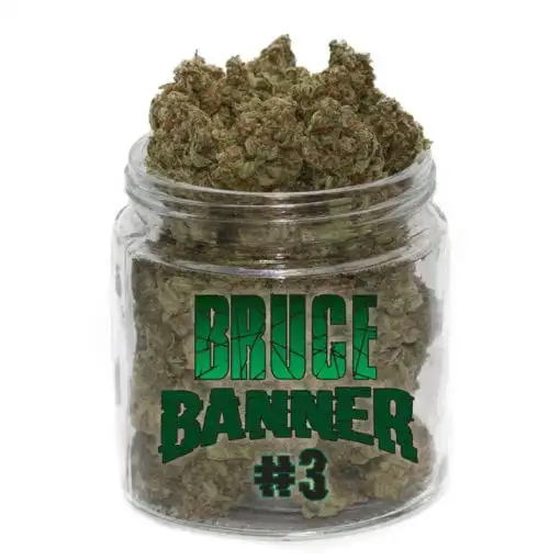 bruce-jar2.webp