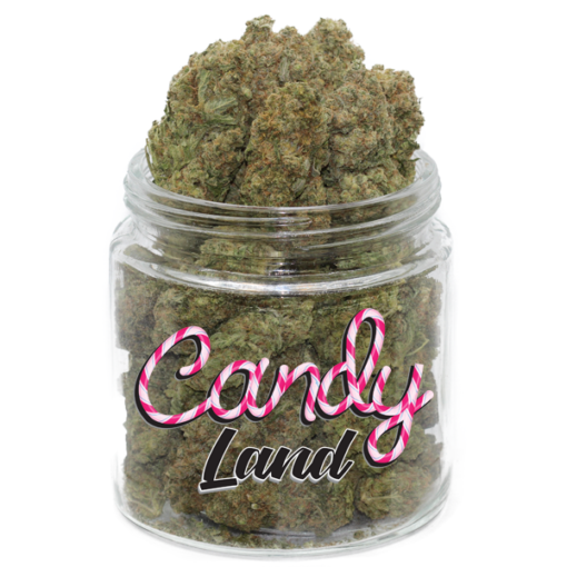 candyland-jar.webp