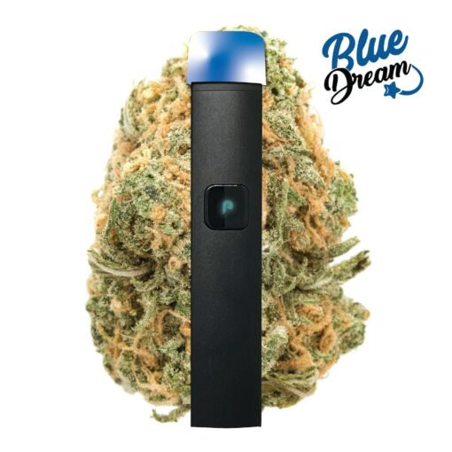 plugplay-justplay-blue-dream-all-in-one-pen-10g-510x510-1.jpeg